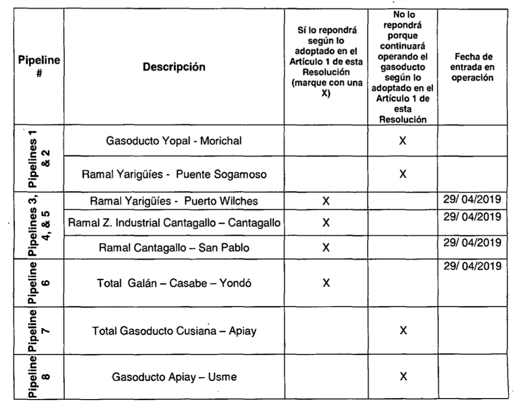 Imagen 10